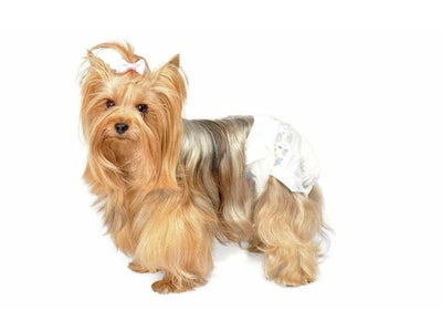 Disp.Dog Diapers*Size: 2*(12P)