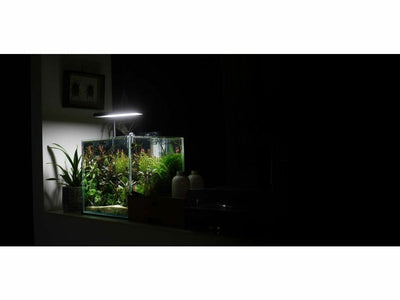 Flat Nano+ Smart Planted Aquarium Lighting (App control) (Black)