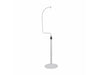 Bird Cage Stand - White