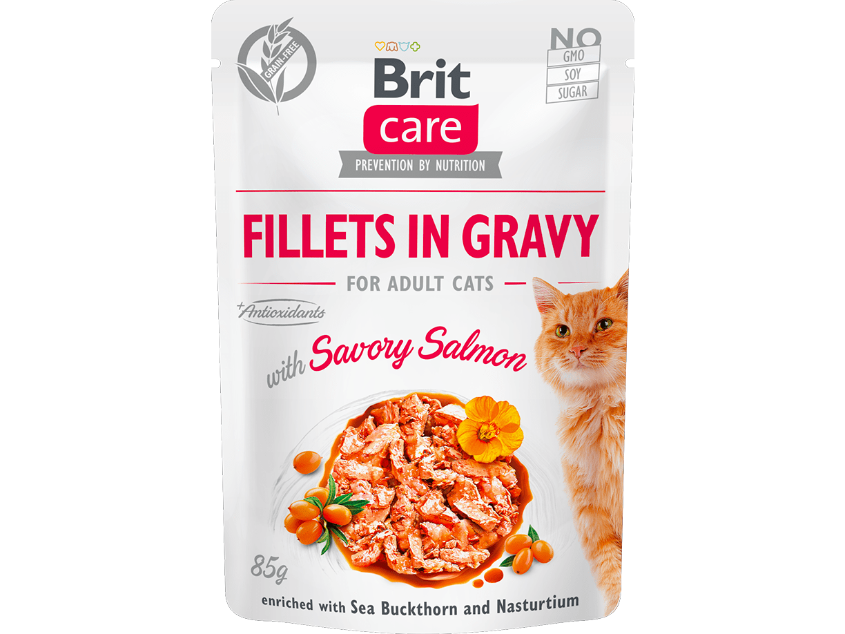 Brit Care Cat Fillets in Gravy with Savory Salmon