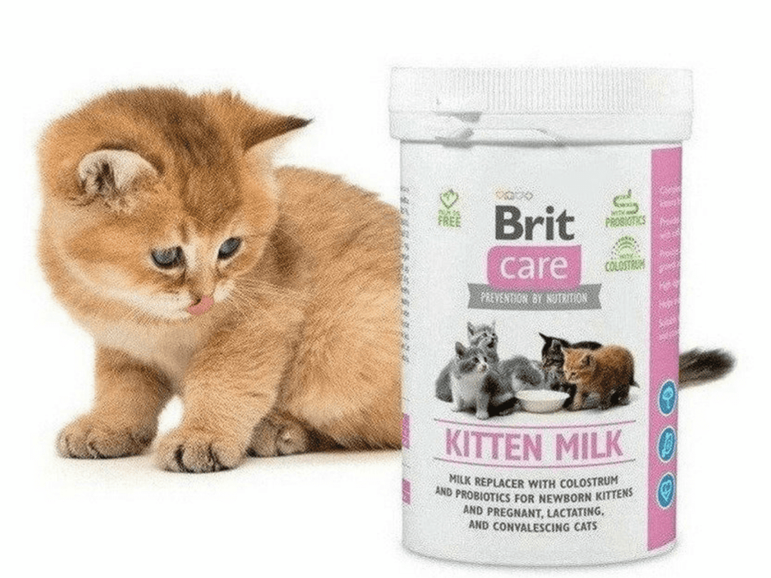 Brit Care Kitten Milk 0 250 kg Pets Qatar