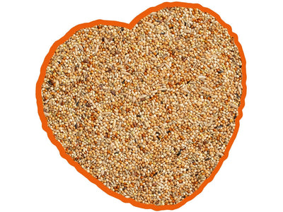 Budgie Mix 1kg