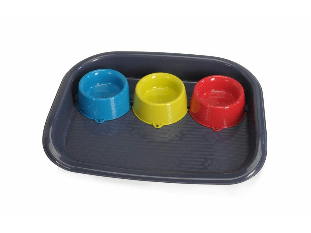 Food Tray With 3 Bowls