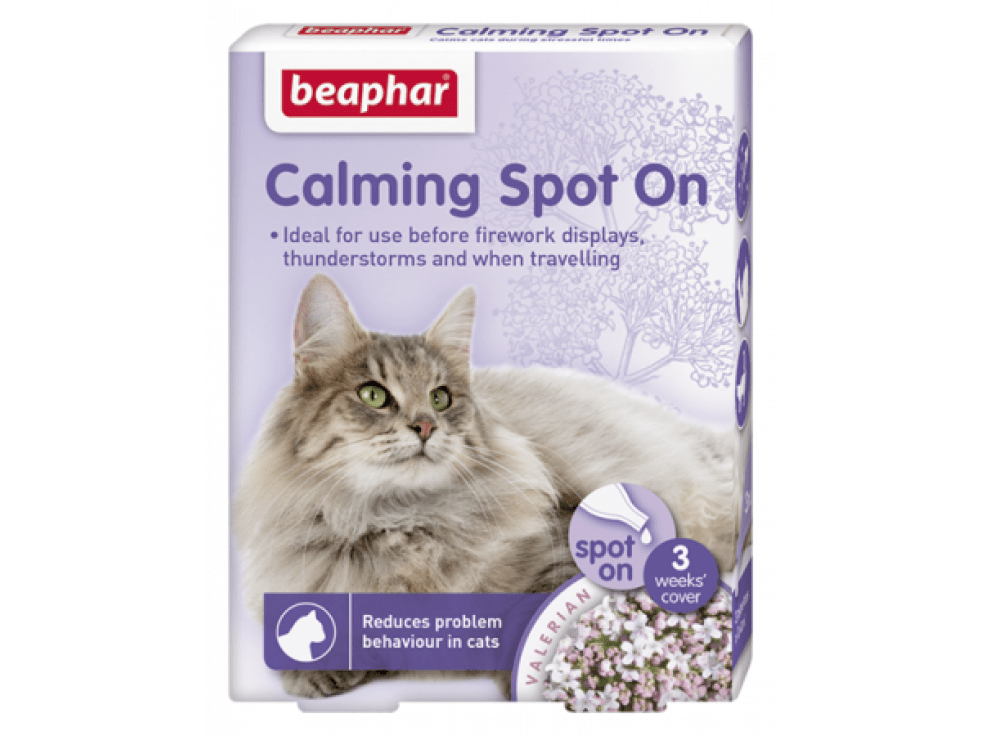 Calming Spot On Cat