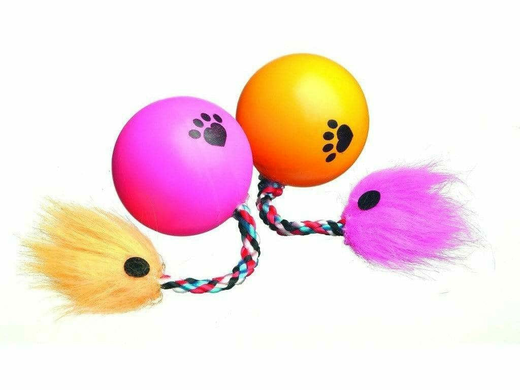 Cat Ball with Rope