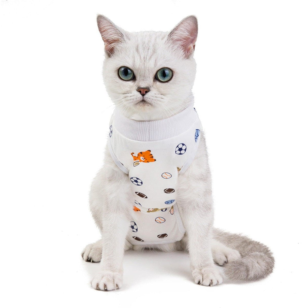 Cat Clothes Type 17