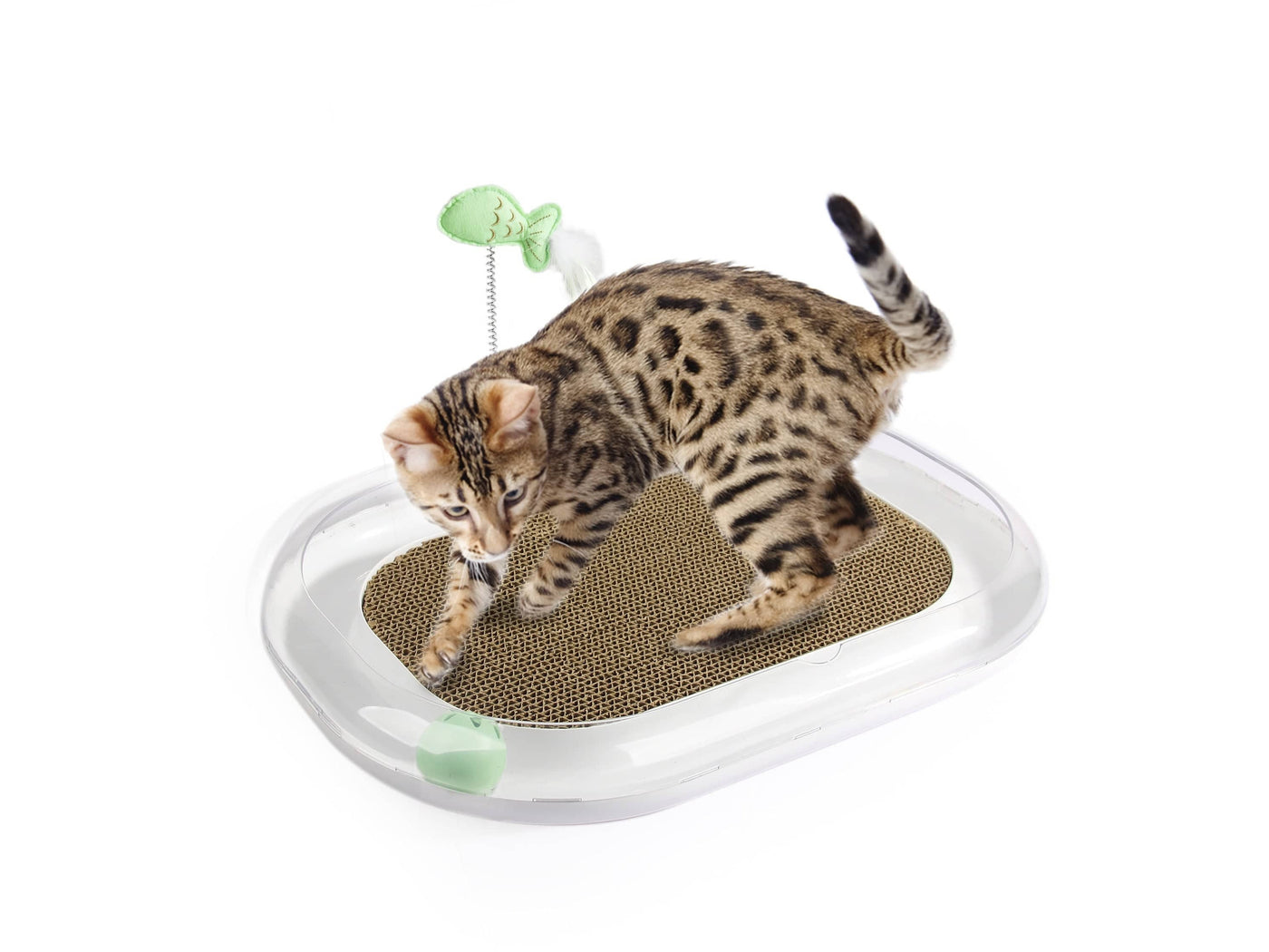 Cat Runway Scratcher