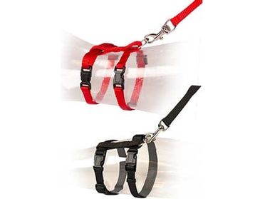 Cat Walking Set Uni (20-35cm/10mm Harness, 125cm Lead) - Mixed Colors