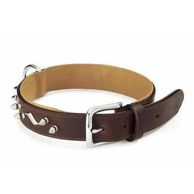 Colorado model pet collar made from premium leather