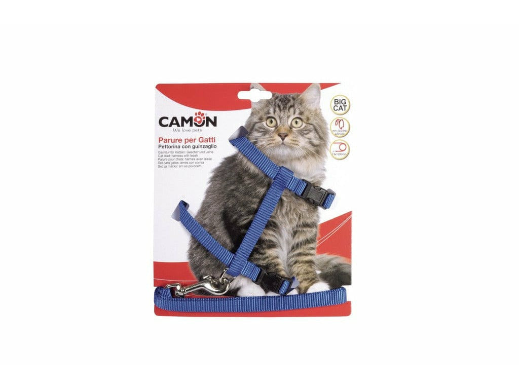 Harness And Leash Big Cats