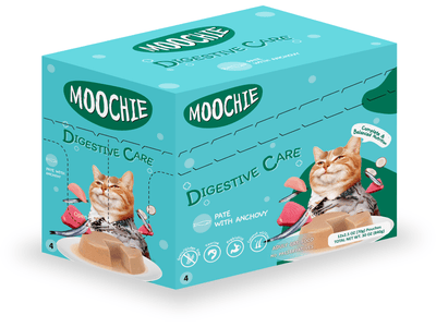 A bowl of Digestive Care Pate with Anchovy, featuring premium ingredients like chicken and tuna, promoting digestive health and overall wellness for pets