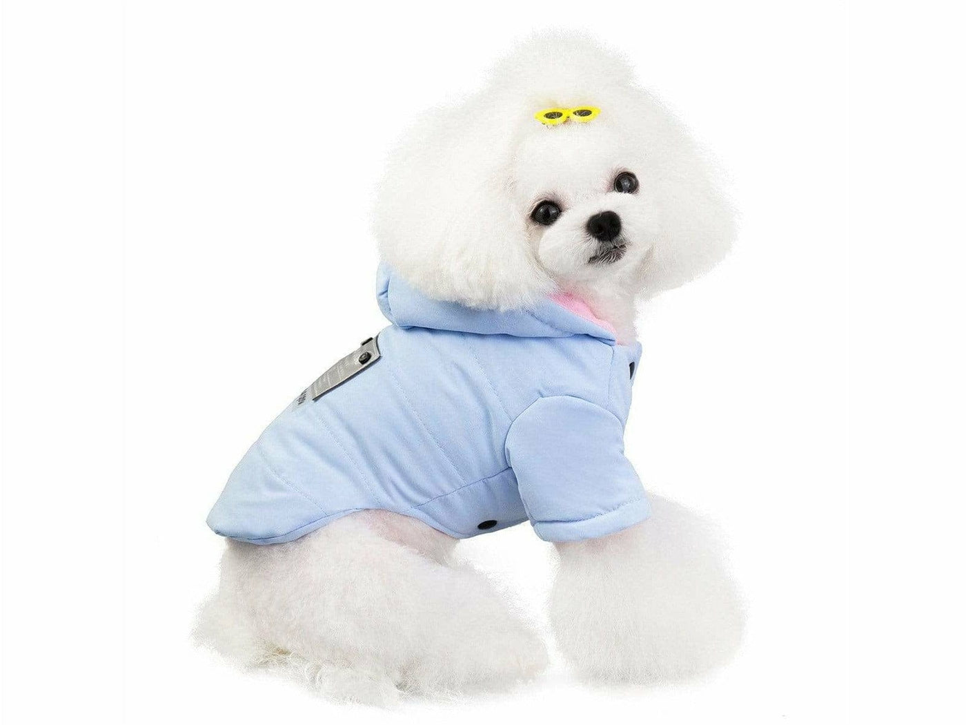 Dog Clothes Blue - Size S&nbsp;