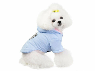 Dog Clothes Blue - Size S&nbsp;