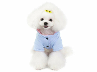 Dog Clothes Blue - Size S&nbsp;
