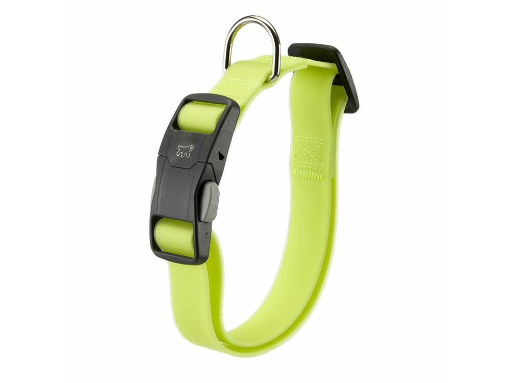 Dog Collar C16/32 – Acid Green (23-32 cm, B: 16 mm)