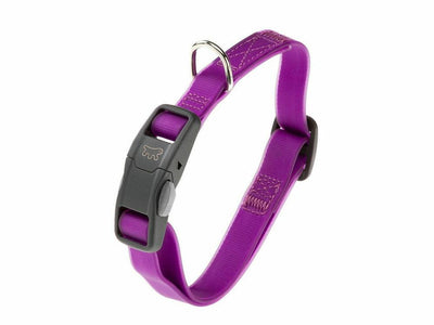 Dog Collar – Violet