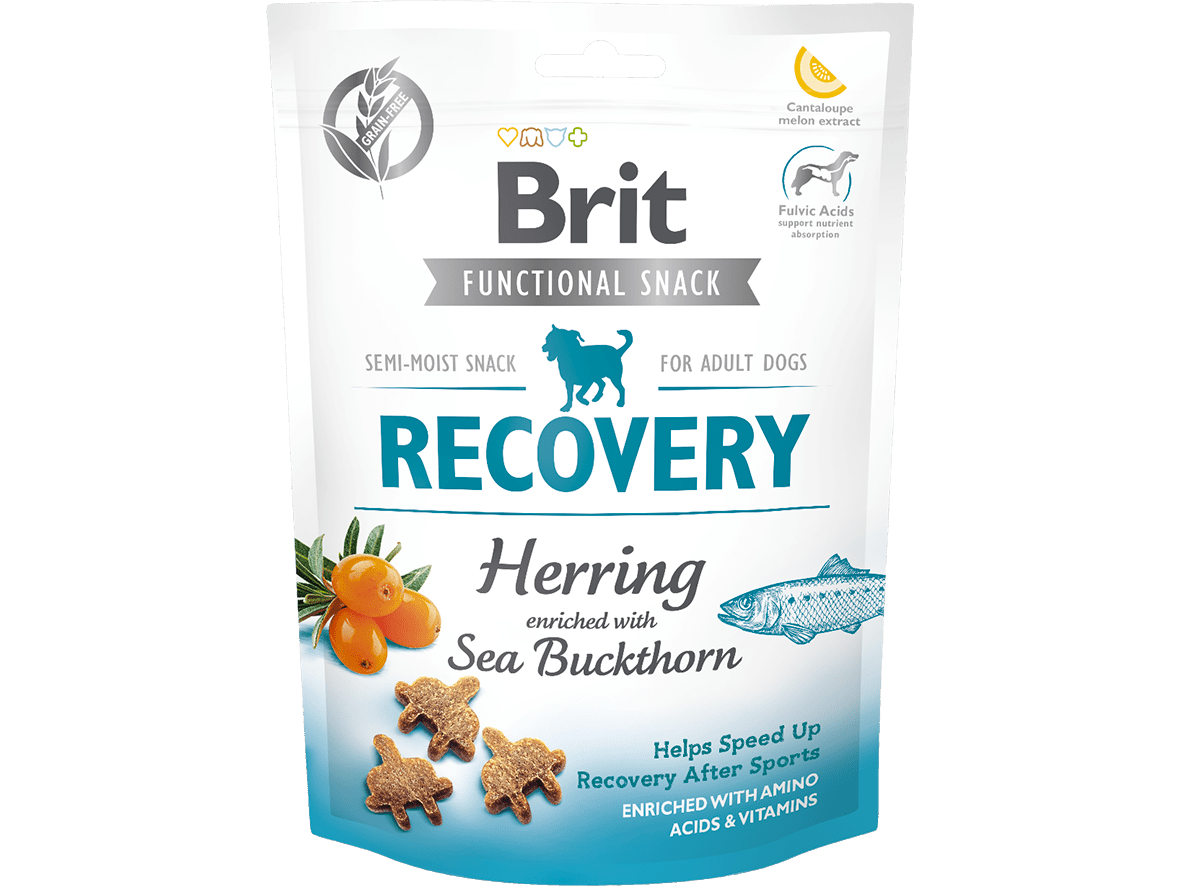 150 g of complementary dog food to aid recovery after sports. It's grain-free and potato-free, suitable for sensitive diets. Loaded with amino acids, vitamins, and antioxidants from sea buckthorn and cantaloupe, it supports joint and gut health. Great as a reward or snack, and easy to store! Remember to provide fresh water