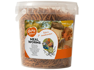  Duvoplus 4 Meal Worms