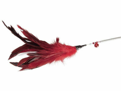 Fishing Rod with Spring for Cats