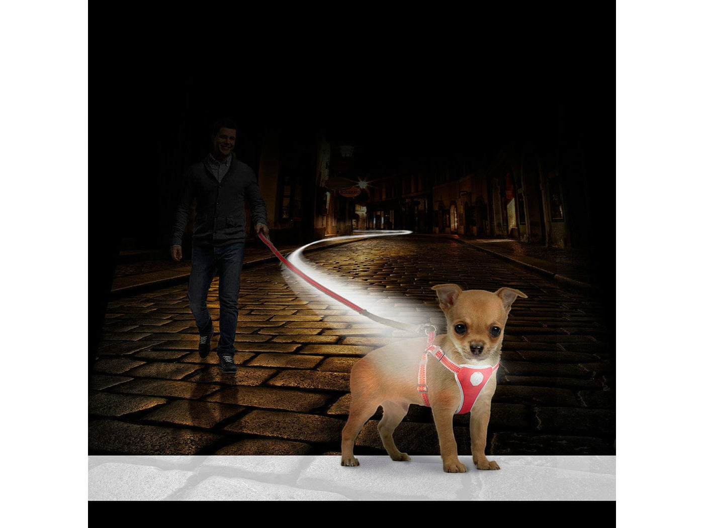 Flashlight Harness with Leash