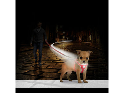 Flashlight Harness with Leash