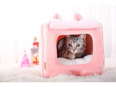 Cat Bed As Photo 31*31*H42Cm Type B