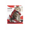 Harness And Leash - gentle walking tool