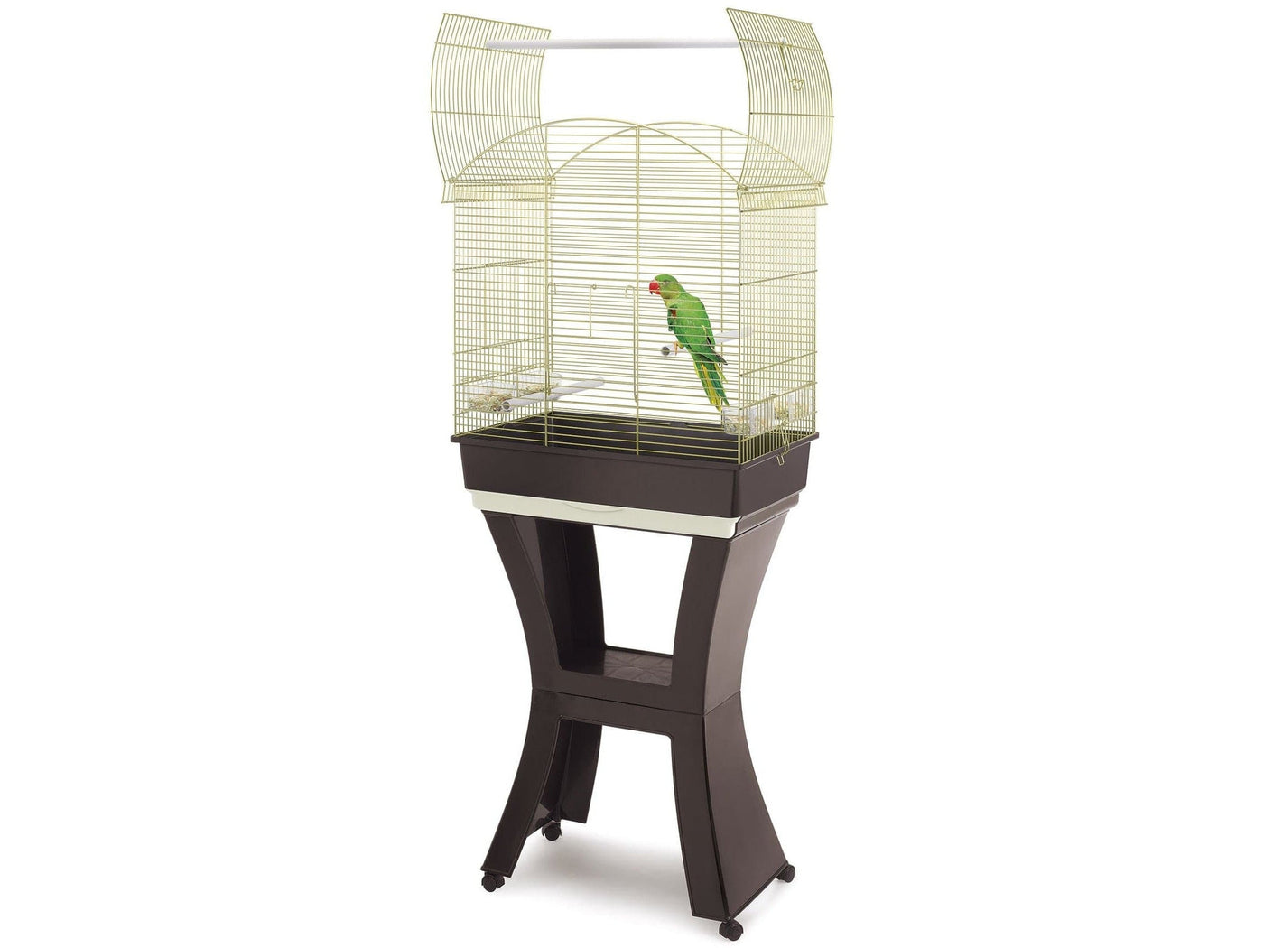 IMAC Birds Cage Calla Gold Brown