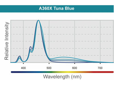 LED A360X التونا الأزرق 
