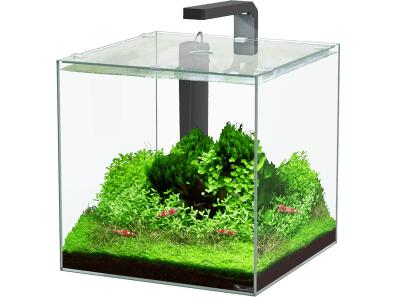 KUBUS AQUARIUMS