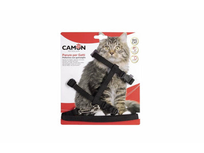 Harness And Leash - gentle walking tool