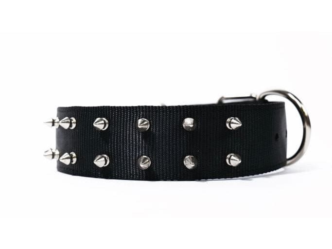 T-REX PROTECTIVE SPIKED DOG COLLAR  Black