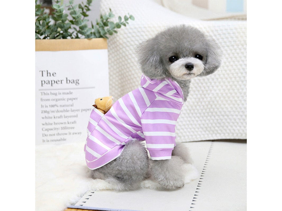 Pet Clothes Type 5