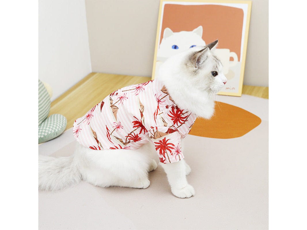 Cat Clothes Type 8