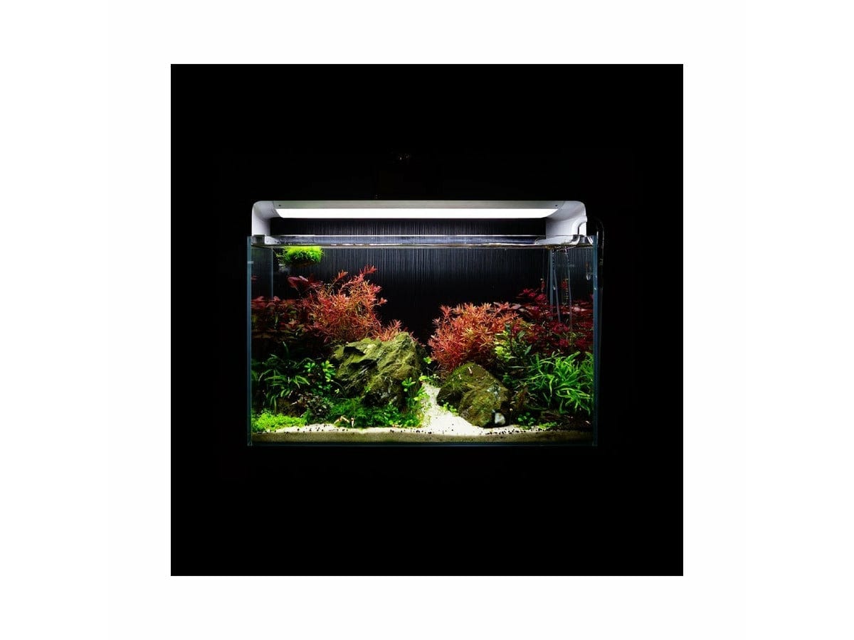 Flat One+ The Smart Aquarium Lighting (60cm, Standard style, 3000K-6500K) with App