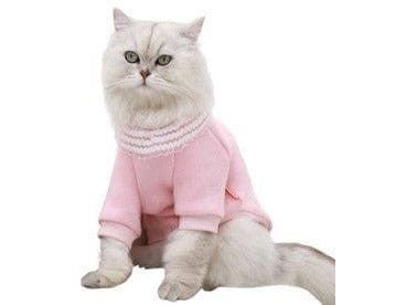 Cat Clothes As Photo Type 14