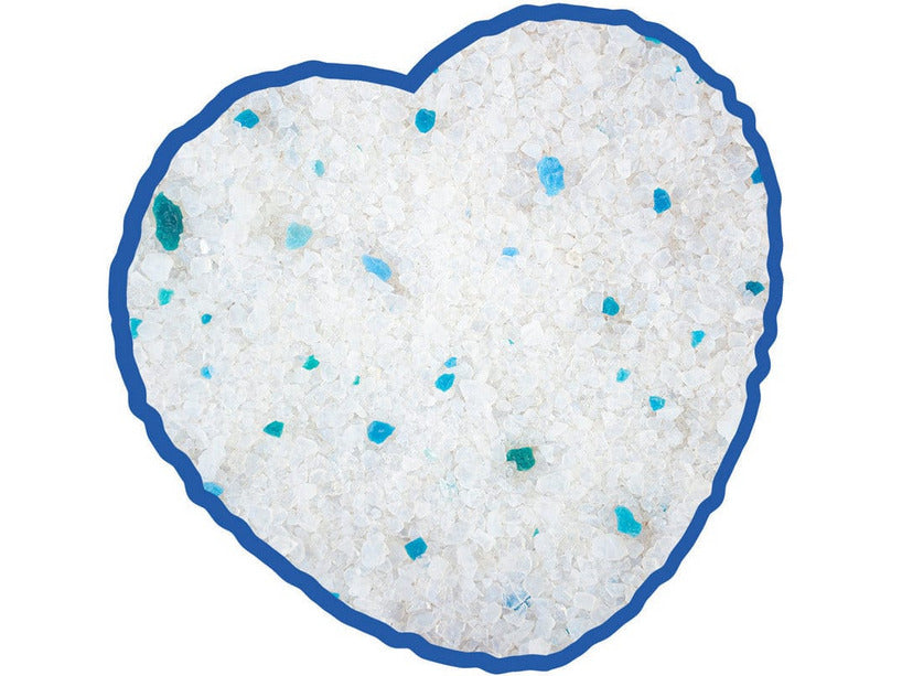 Premium Silica Cat Litter Apple - 5L