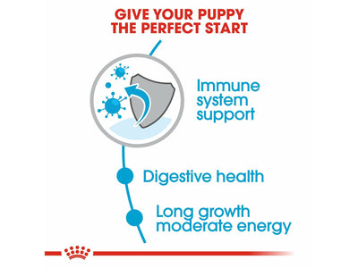 ROYAL CANIN® Maxi Puppy Food