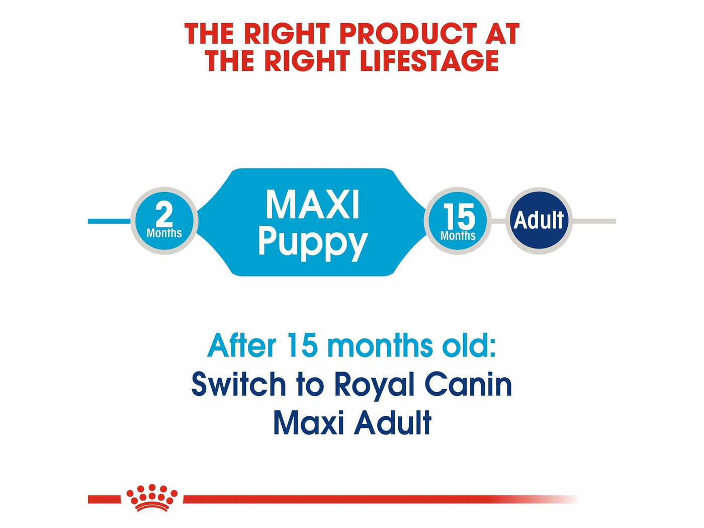 ROYAL CANIN® Maxi Puppy Food