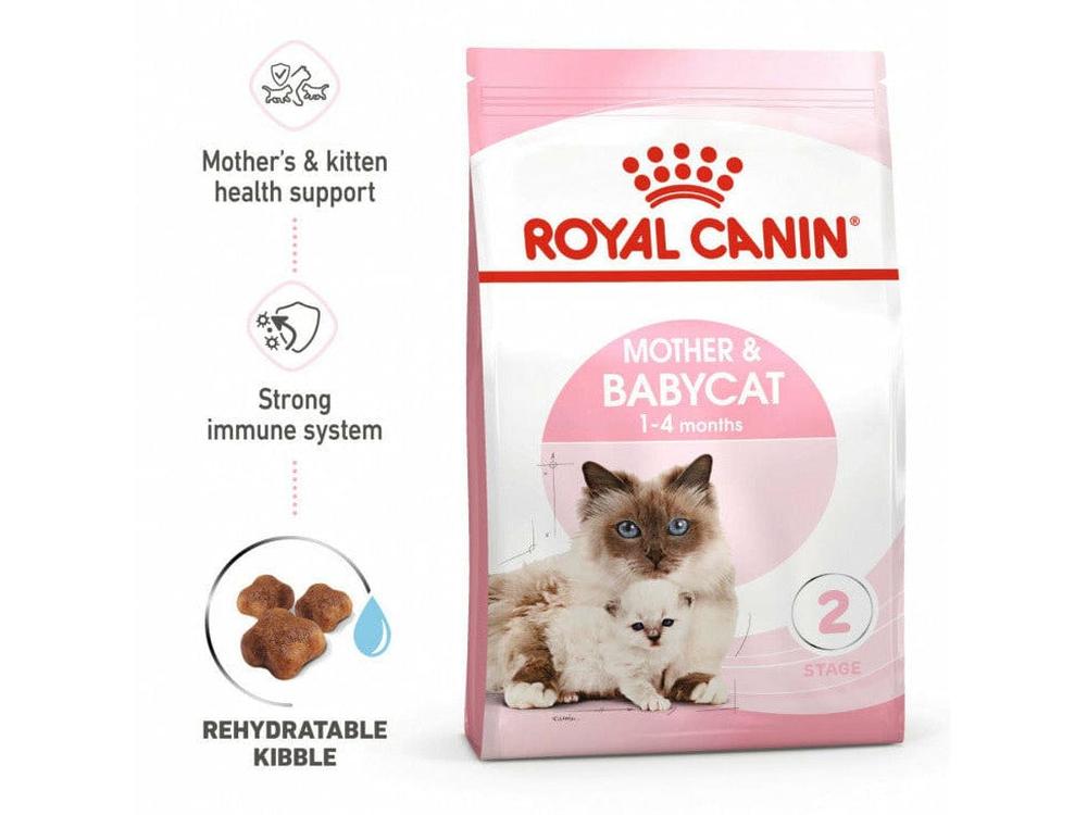 ROYAL CANIN Mother & Baby cat - Balanced food for pregnant and nursing cats, promoting growth, immunity, and digestion for kittens