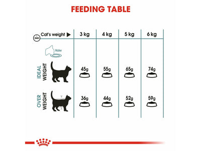 Royal Canin® Feline Care Nutrition Hairball Care Cat Food - 10 KG
