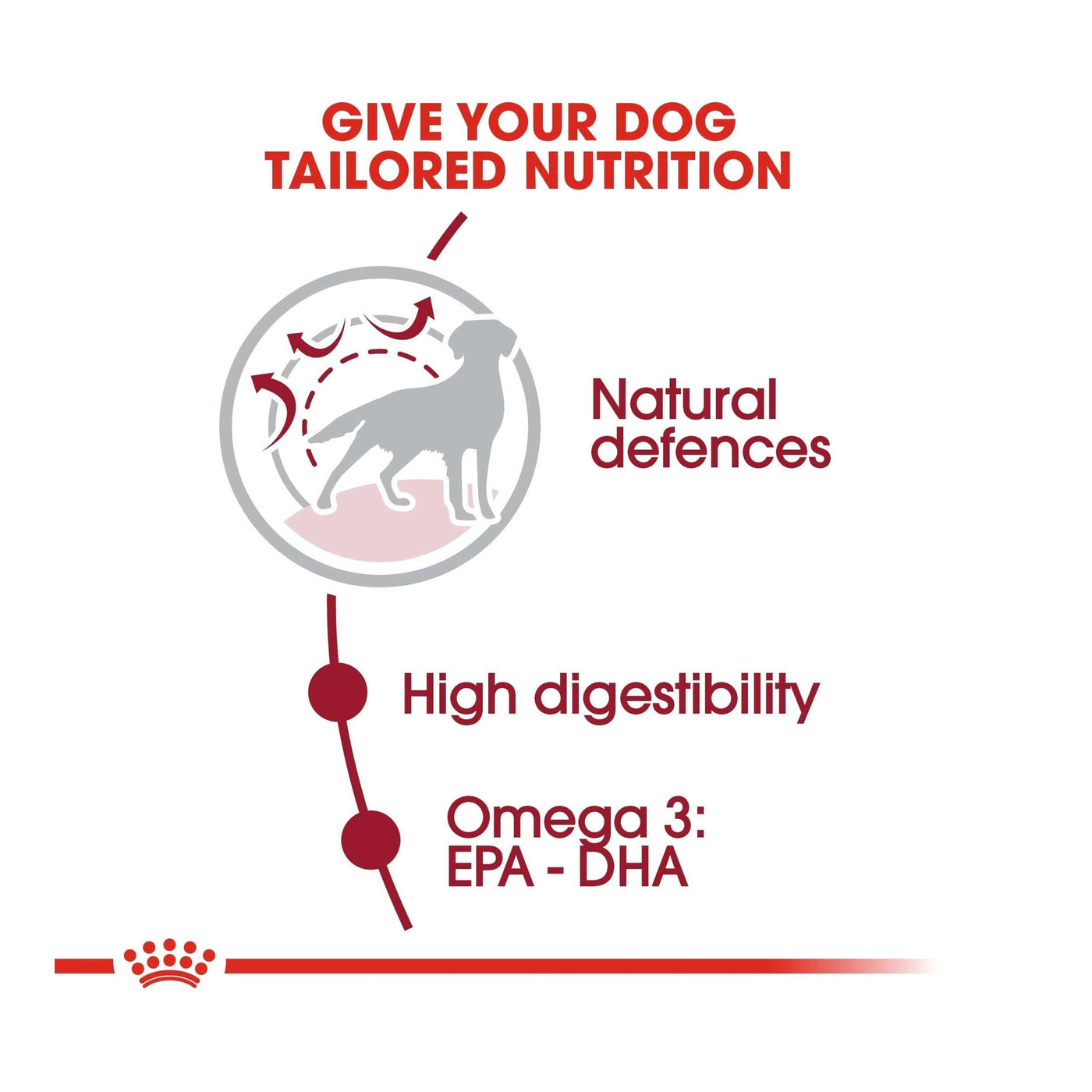 Royal Canin Medium Adult Dog Food, 4kg