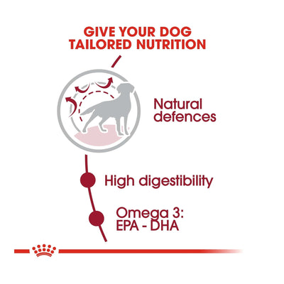 Royal Canin Medium Adult Dog Food, 4kg
