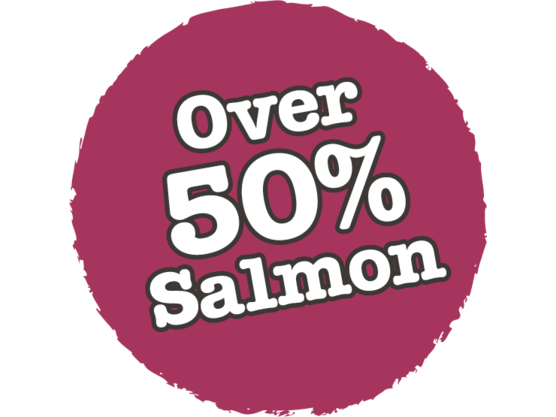 Atlantic Salmon Complete dry food for Adult Cats 1.5KG /Little BigPaw