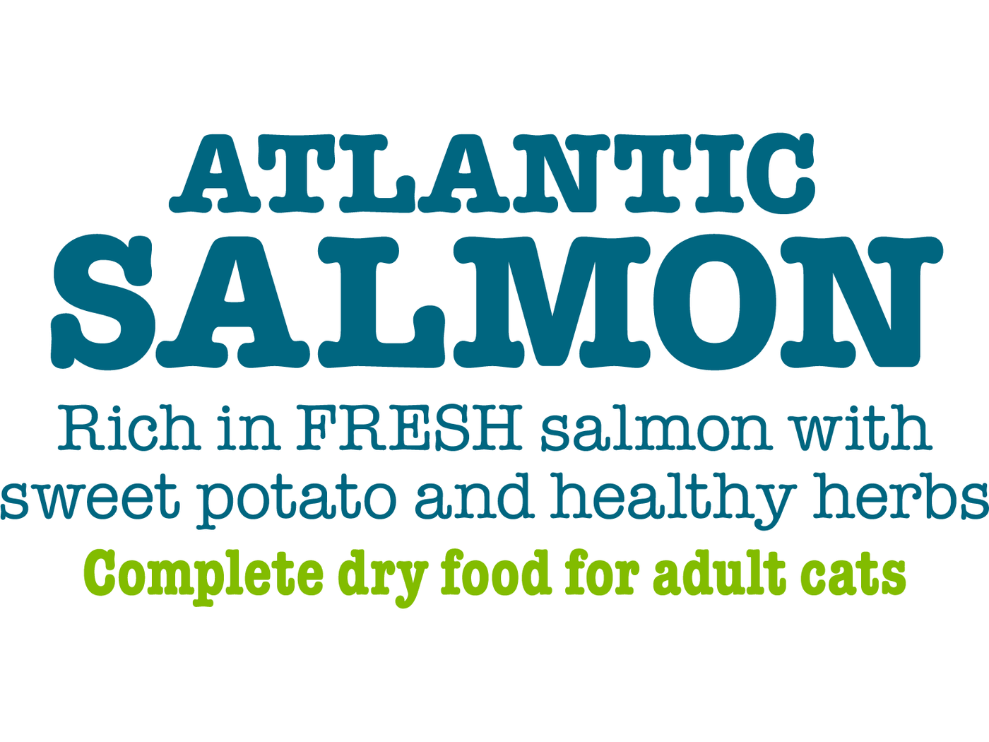 Atlantic Salmon Complete dry food for Adult Cats 350gm /Little BigPaw