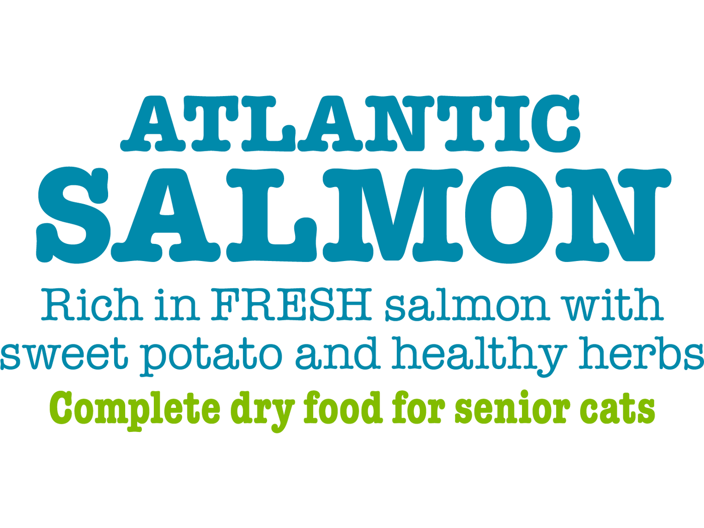 Atlantic Salmon Complete dry food for Senior Cats 350gm /Little BigPaw