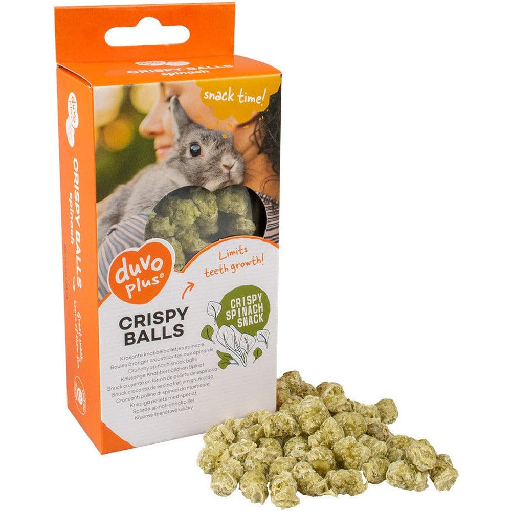 Tasty nibble balls with spinach