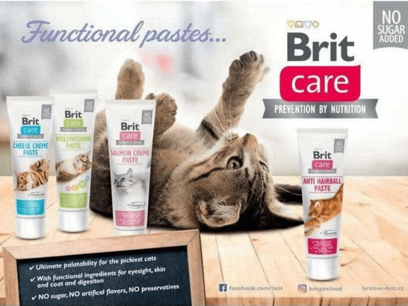 Brit Care Cat Paste Anti Hairball with Taurine 100 g