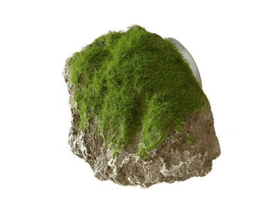 Moss Stone With Suction Cup