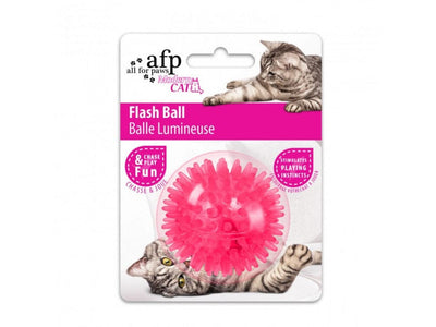 AFP القط الحديث - كرة فلاش